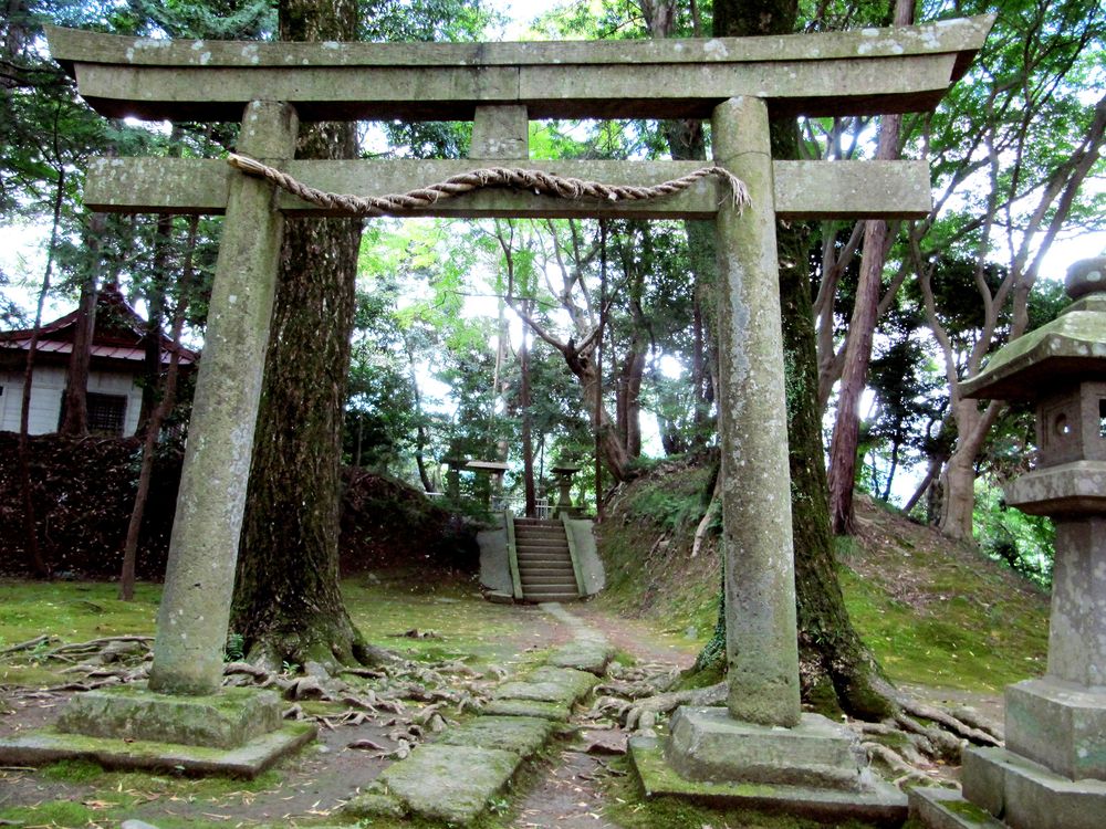 韮山城跡の画像 - 6枚目