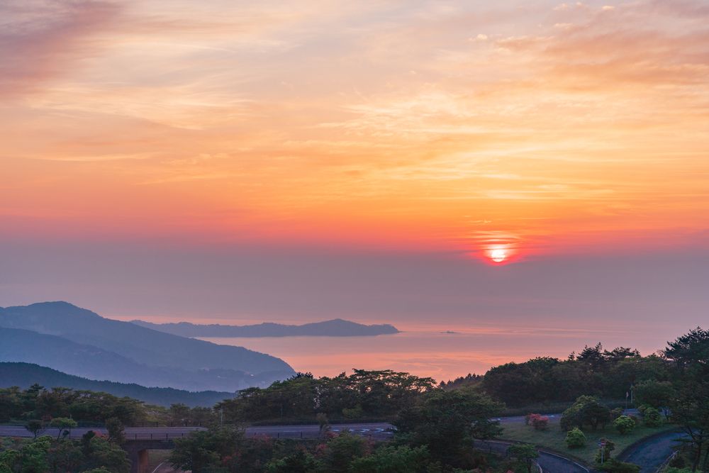 玄岳の画像 - 5枚目