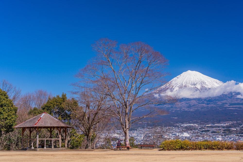 白尾山公園