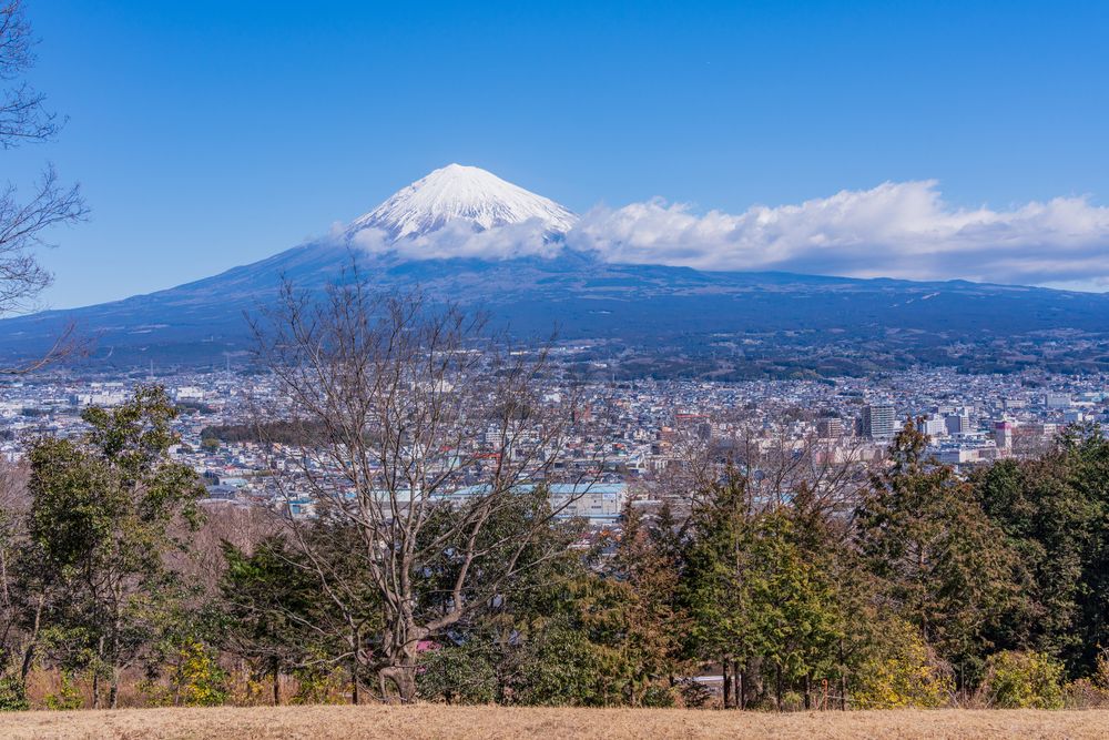 白尾山公園の画像 - 3枚目
