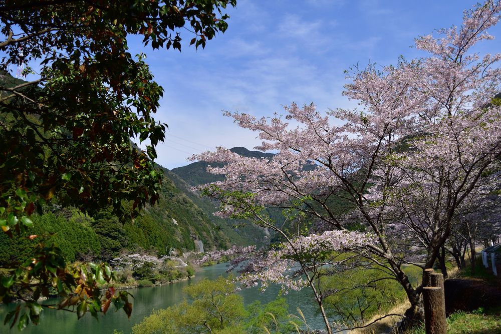 秋葉湖の画像 - 2枚目