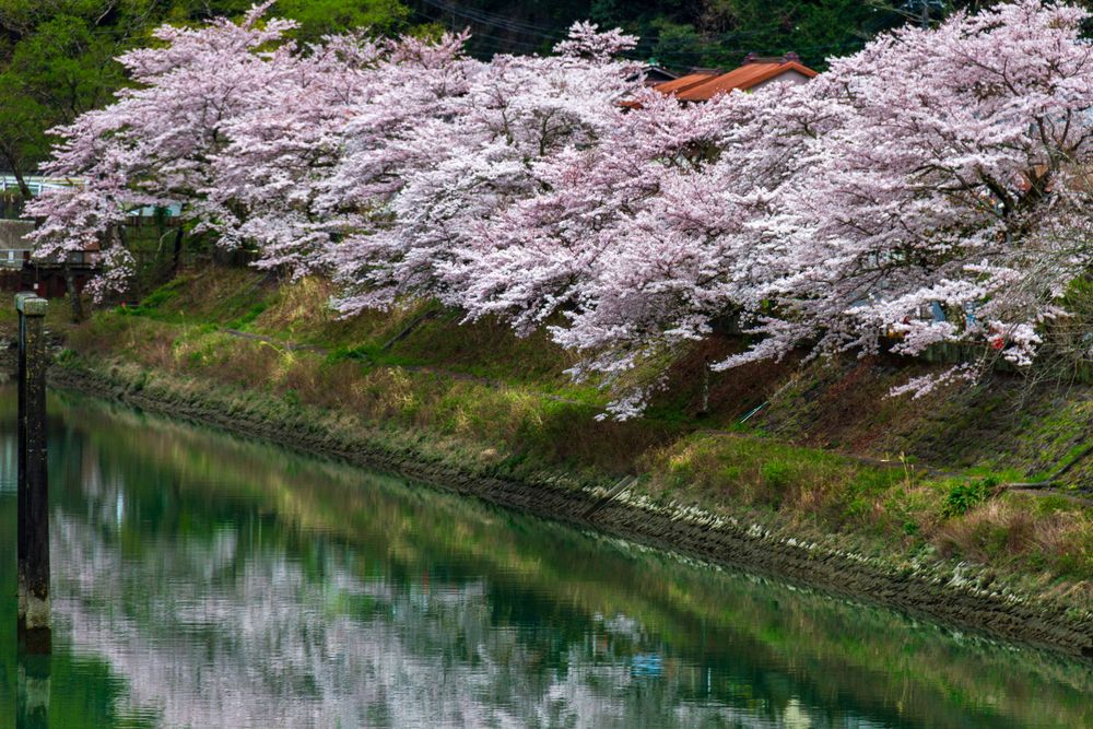 秋葉湖の画像 - 3枚目