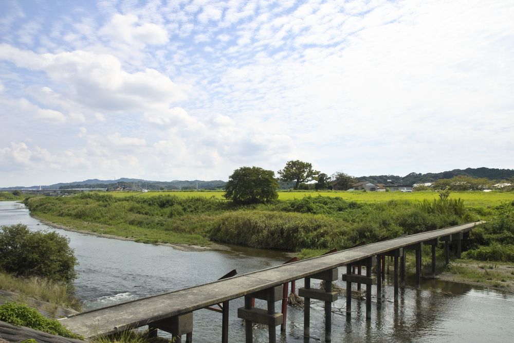 原野谷川の画像 - 2枚目