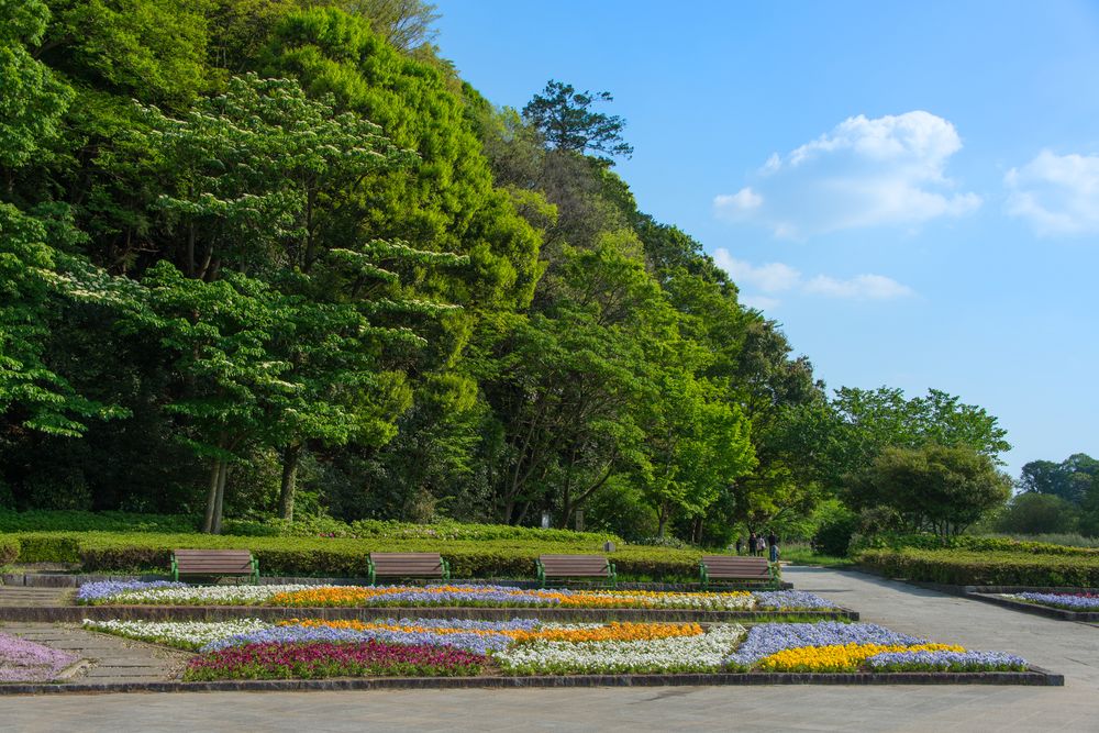 21世紀の森と広場の画像 - 2枚目
