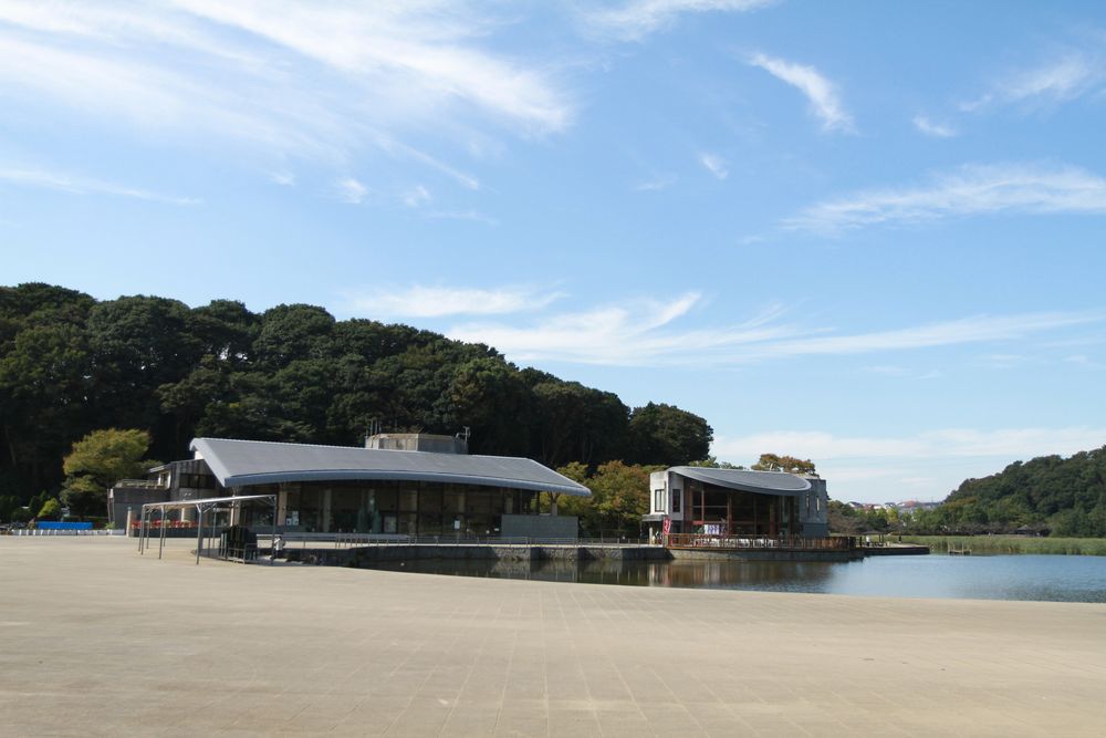 21世紀の森と広場の画像 - 3枚目