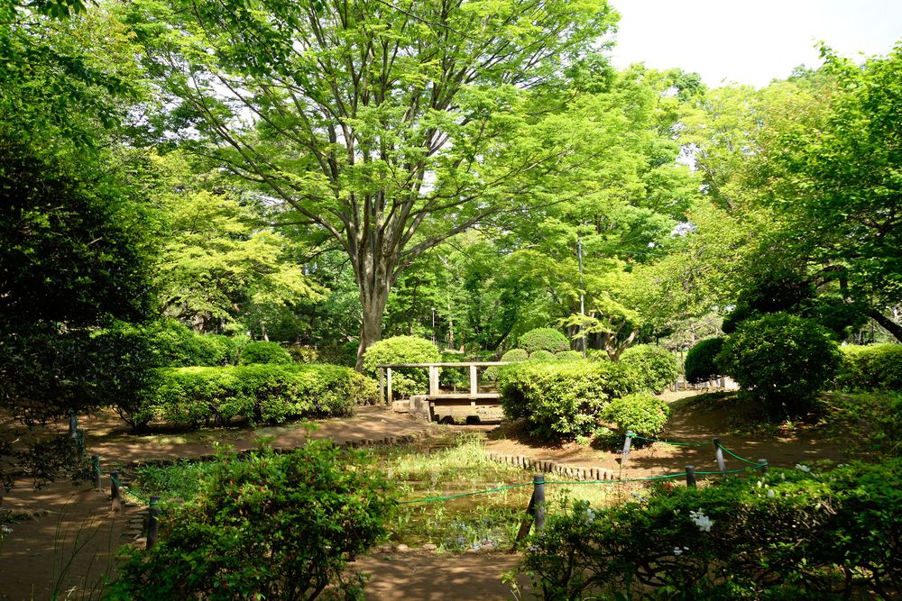 北習志野近隣公園の画像 - 5枚目
