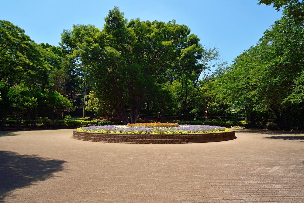 北習志野近隣公園の画像 - 6枚目