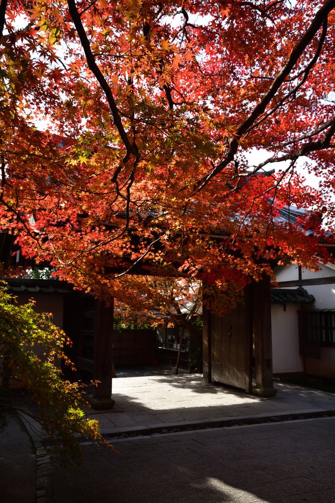 【龍安寺】の周辺スポット・アクセス・口コミ - Prism Japan