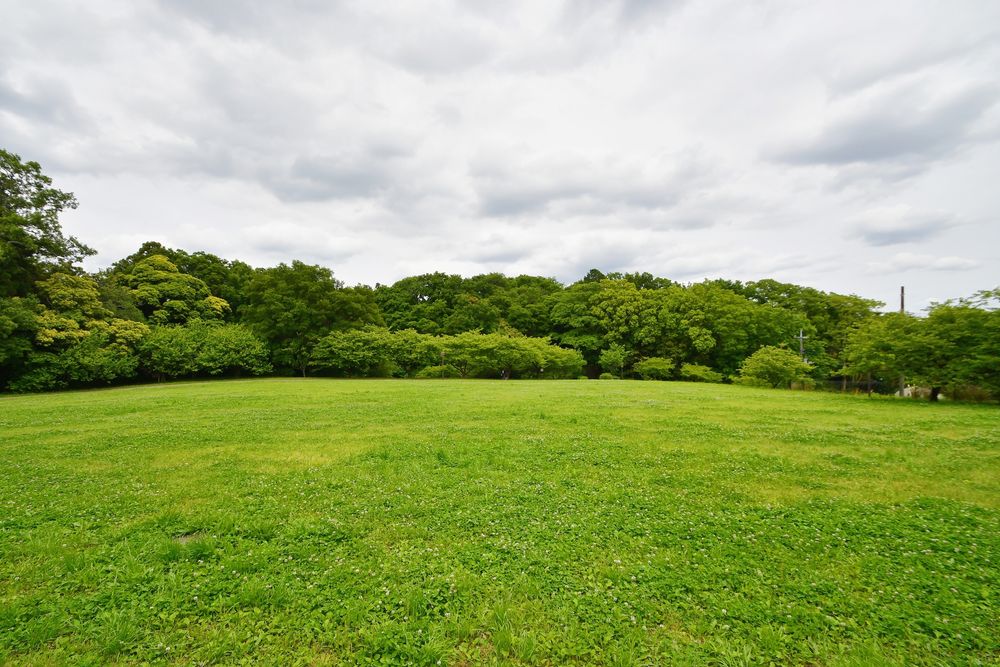 臼井城址公園の画像 - 4枚目