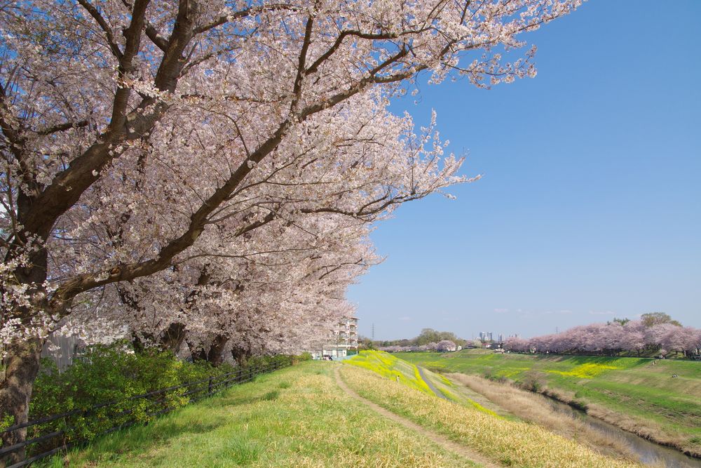 運河水辺公園の画像 - 3枚目