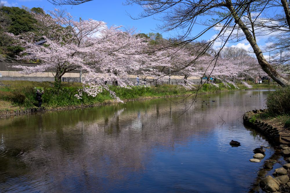 花島公園の画像 - 3枚目