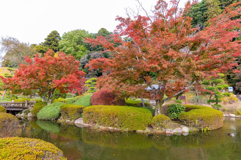 偕楽園】の周辺スポット・アクセス・口コミ - Prism Japan