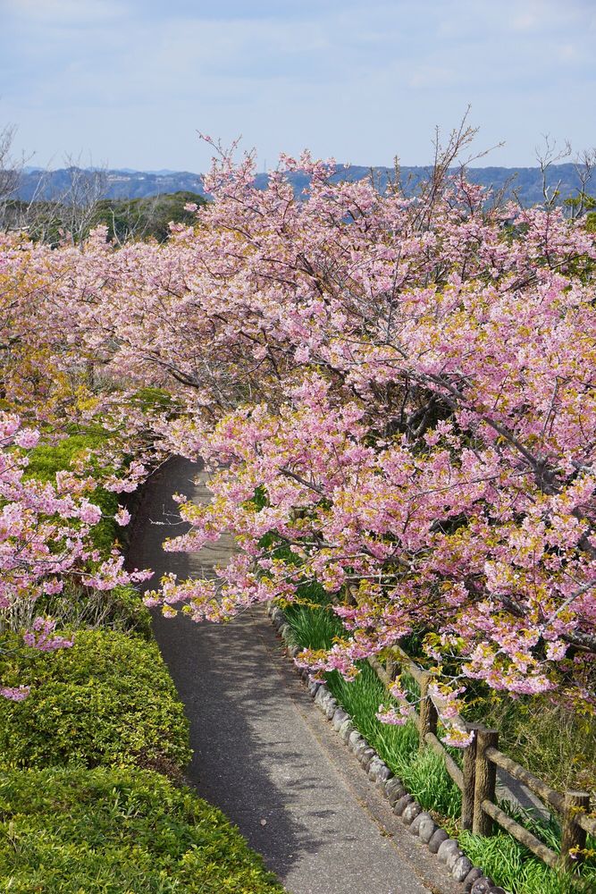 官軍塚(米国汽船ハーマン号遭難者公園墓地)の画像 - 4枚目