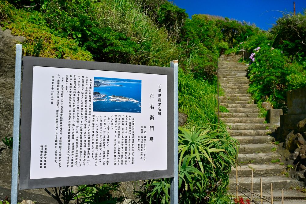 仁右衛門島の画像 - 4枚目