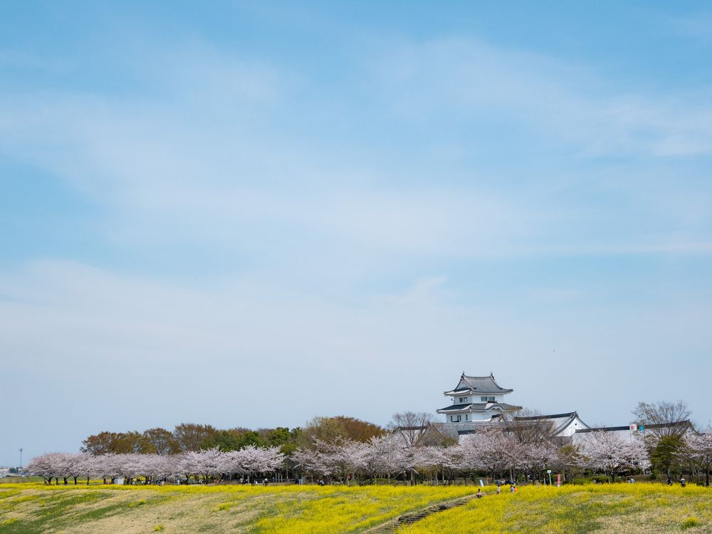 関宿城跡の画像 - 4枚目