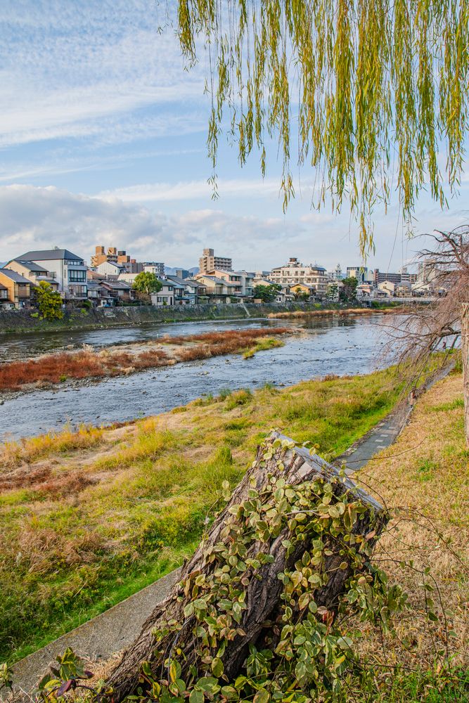 鴨川の画像 - 3枚目