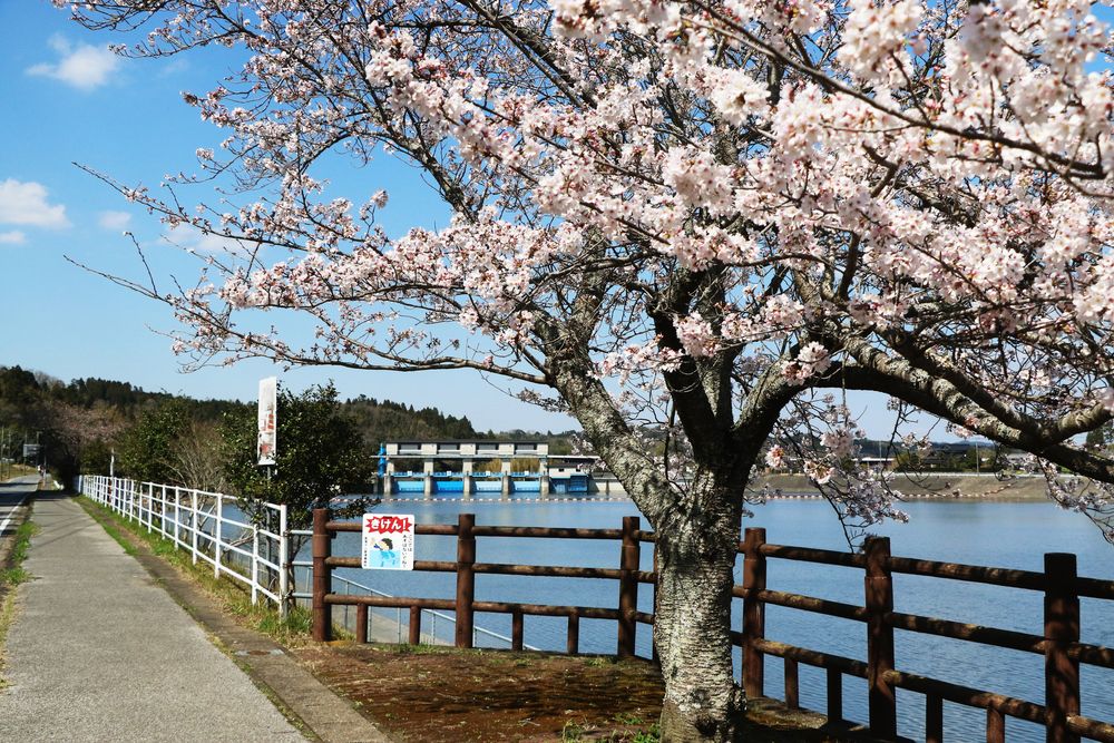 高滝ダムの画像 - 5枚目