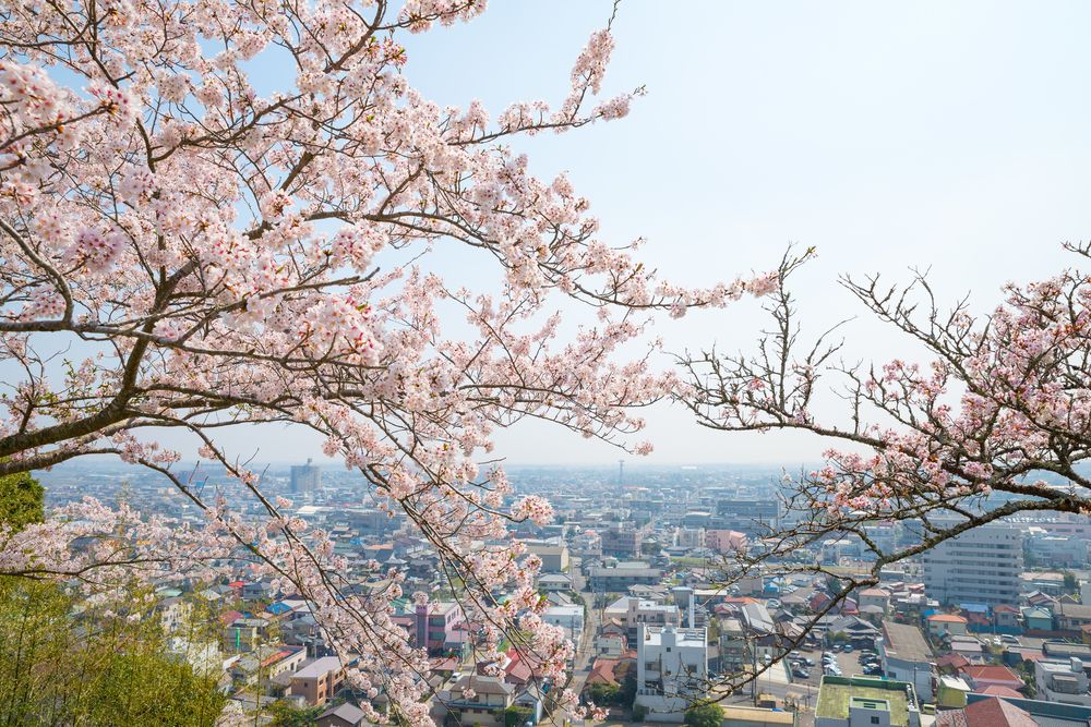山王台公園の画像 - 2枚目