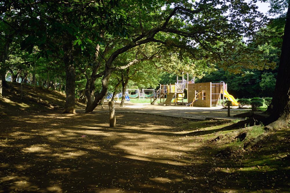 鎌ケ谷市制記念公園の画像 - 2枚目