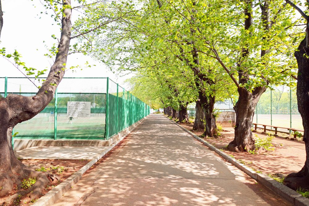 鎌ケ谷市制記念公園の画像 - 4枚目