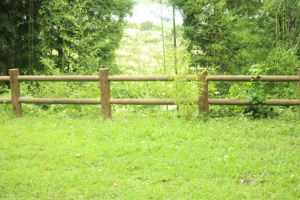 手賀の丘公園の画像 - 3枚目