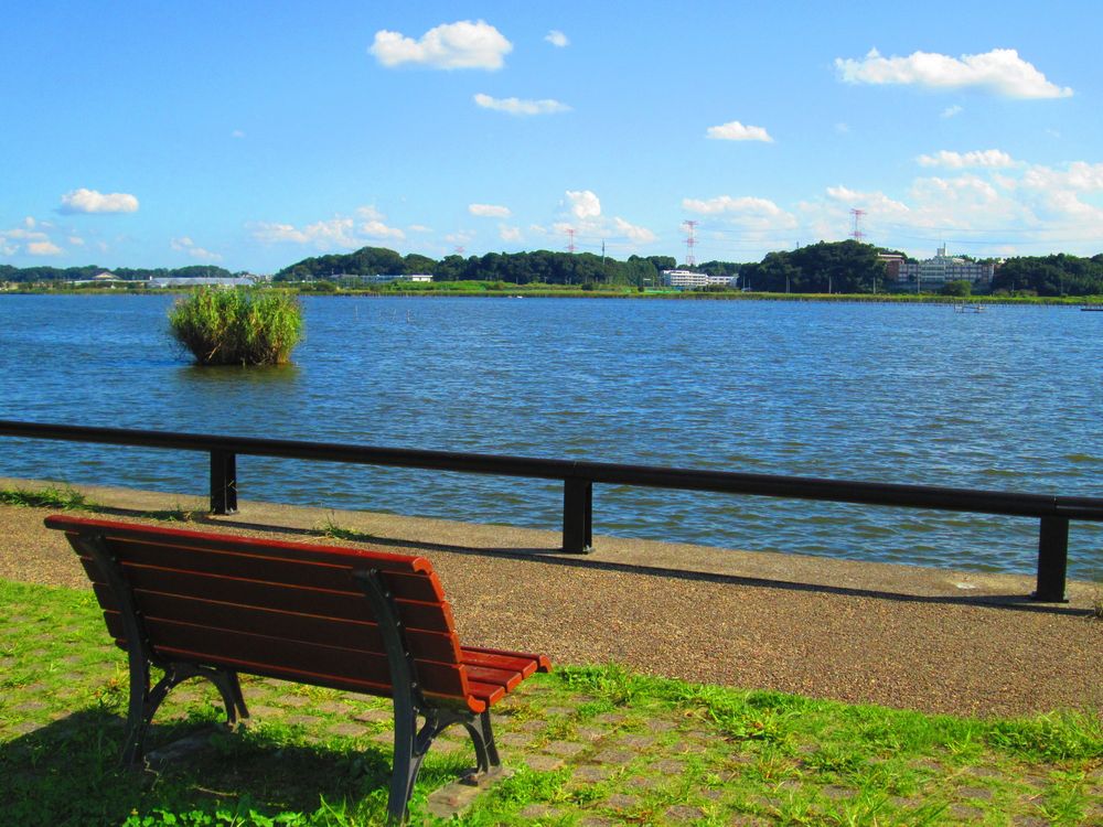 手賀沼公園