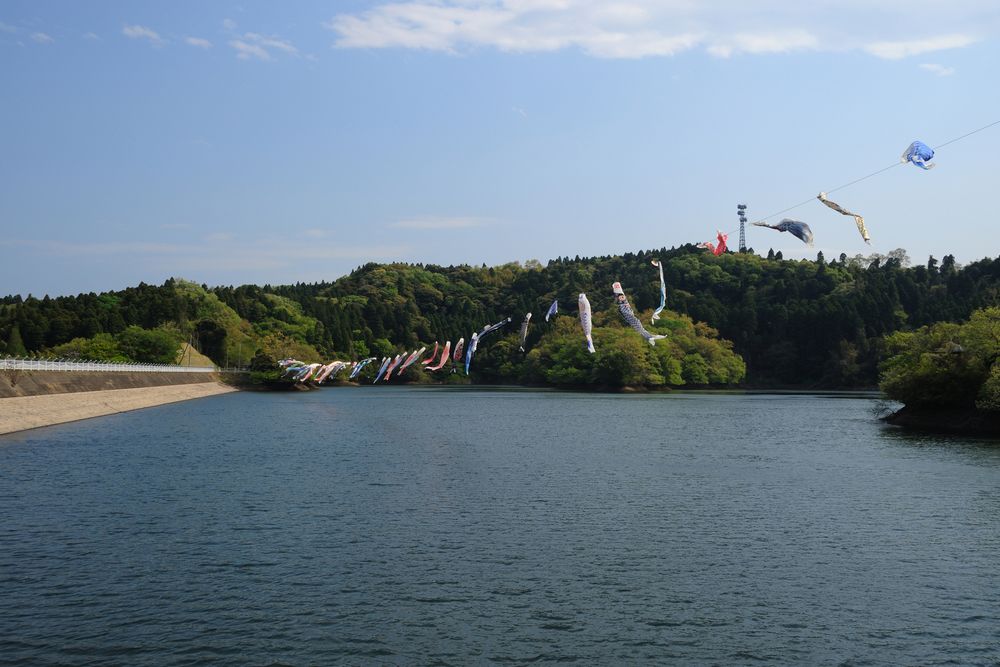 小中池公園の画像 - 2枚目