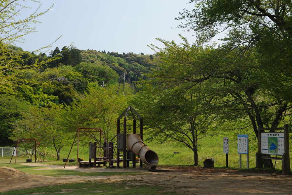 小中池公園の画像 - 3枚目