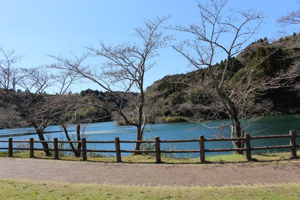 小中池公園の画像 - 4枚目