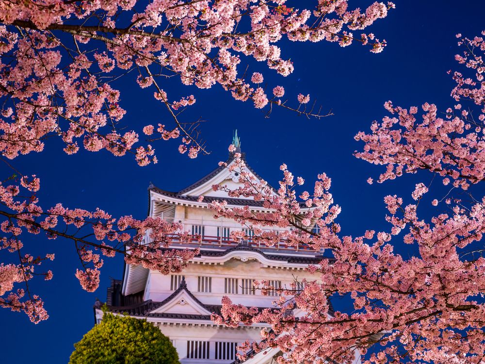千葉市立郷土博物館の画像 - 4枚目