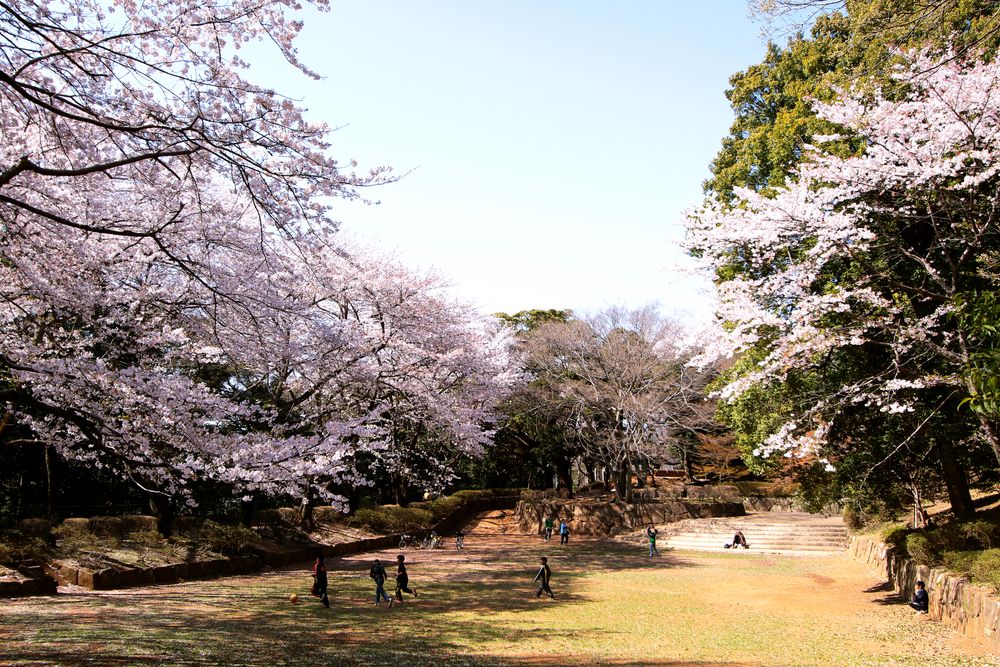 里見公園の画像 - 2枚目