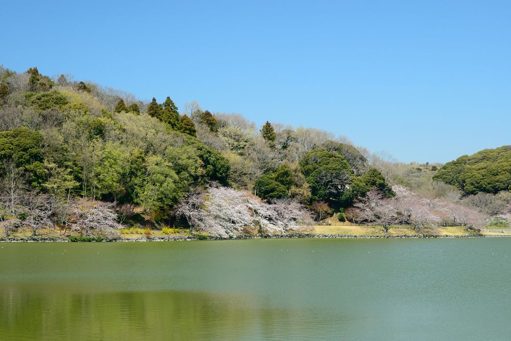 袖ケ浦公園の画像 - 2枚目