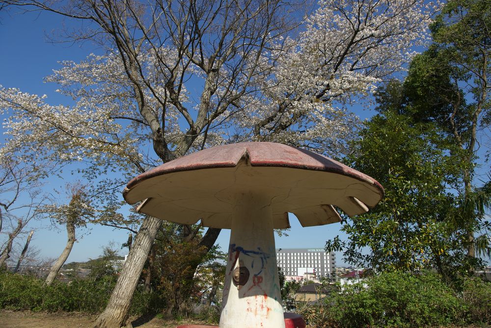 太田山公園の画像 - 2枚目
