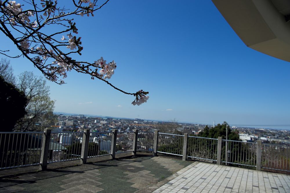 太田山公園の画像 - 3枚目