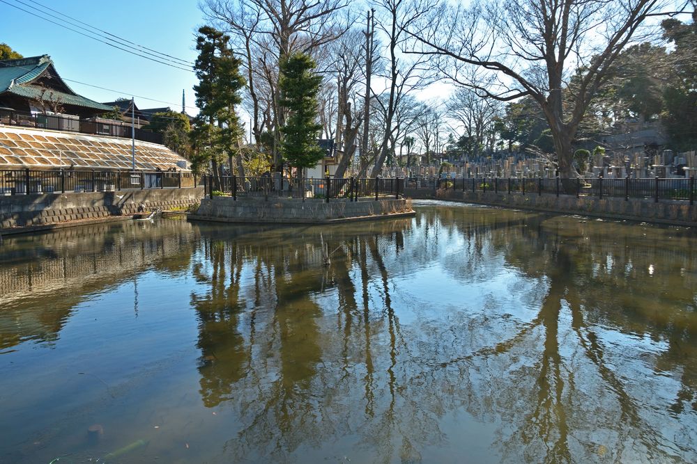 正中山 法華経寺の画像 - 4枚目