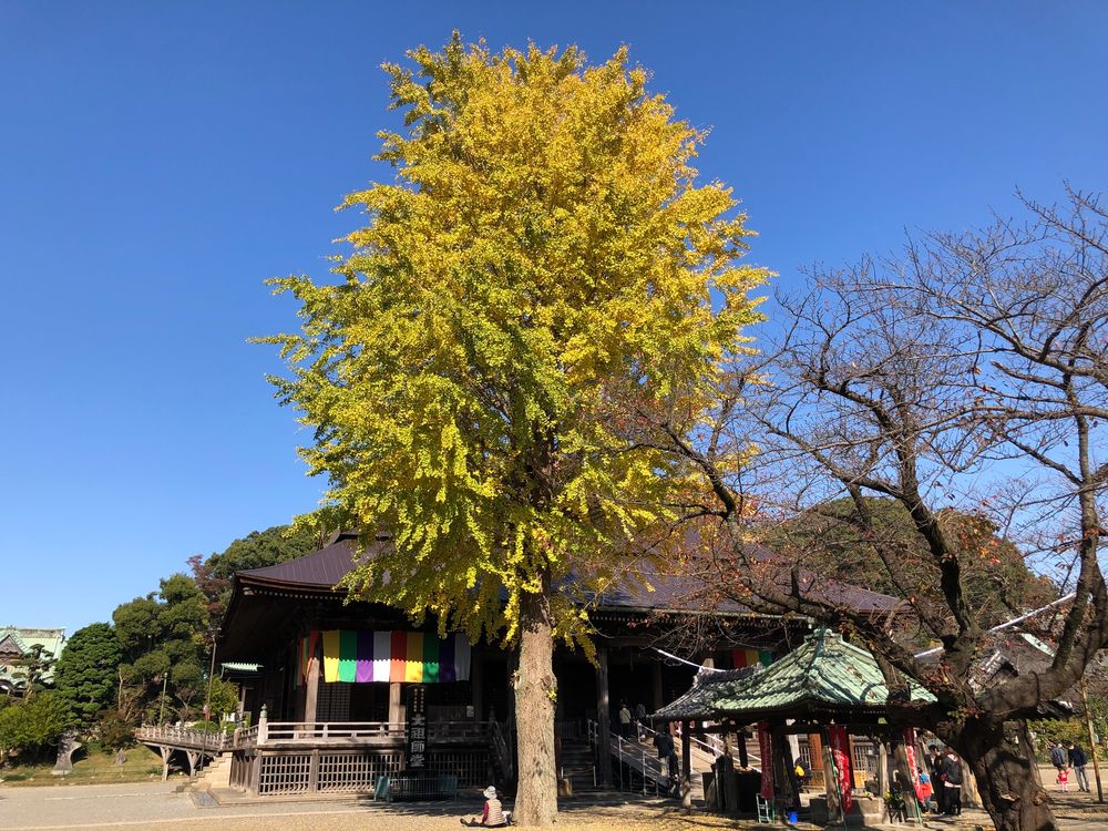 正中山 法華経寺の画像 - 5枚目