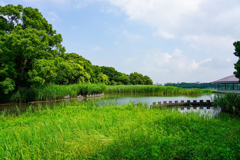 谷津干潟自然観察センターの画像 - 4枚目