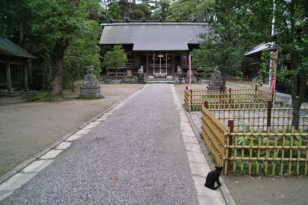 橘樹神社(上総國二宮)の画像 - 3枚目