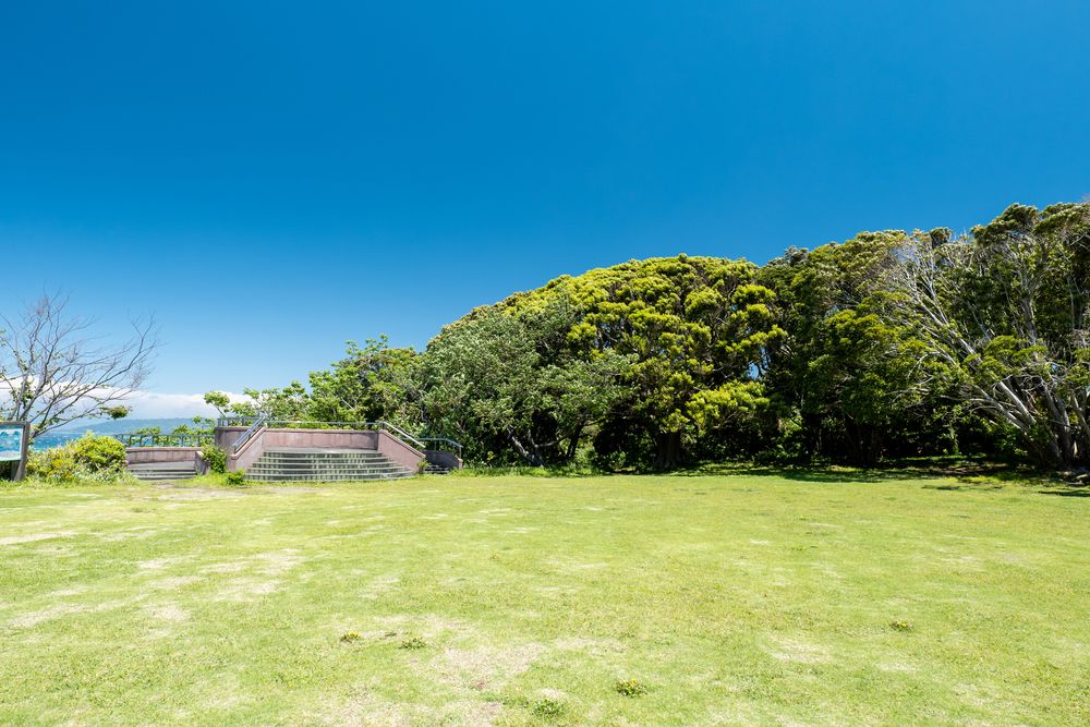 大房岬自然公園の画像 - 4枚目