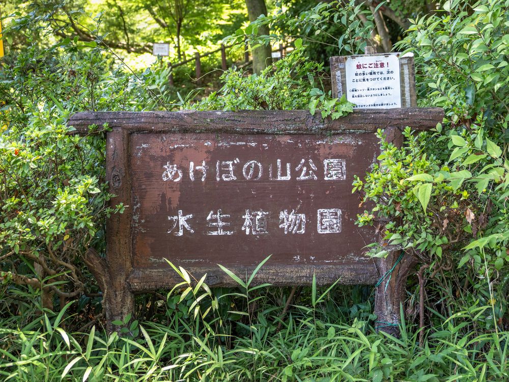 あけぼの山公園の画像 - 3枚目