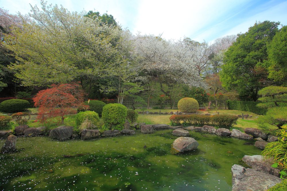 あけぼの山公園