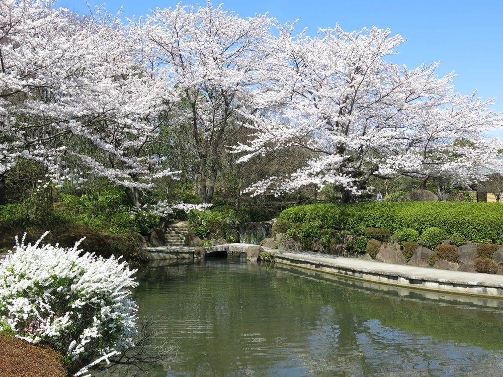 柏の葉公園の画像 - 2枚目