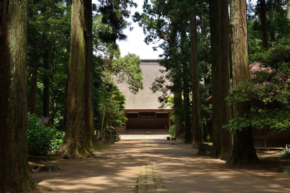 飯高寺の画像 - 2枚目