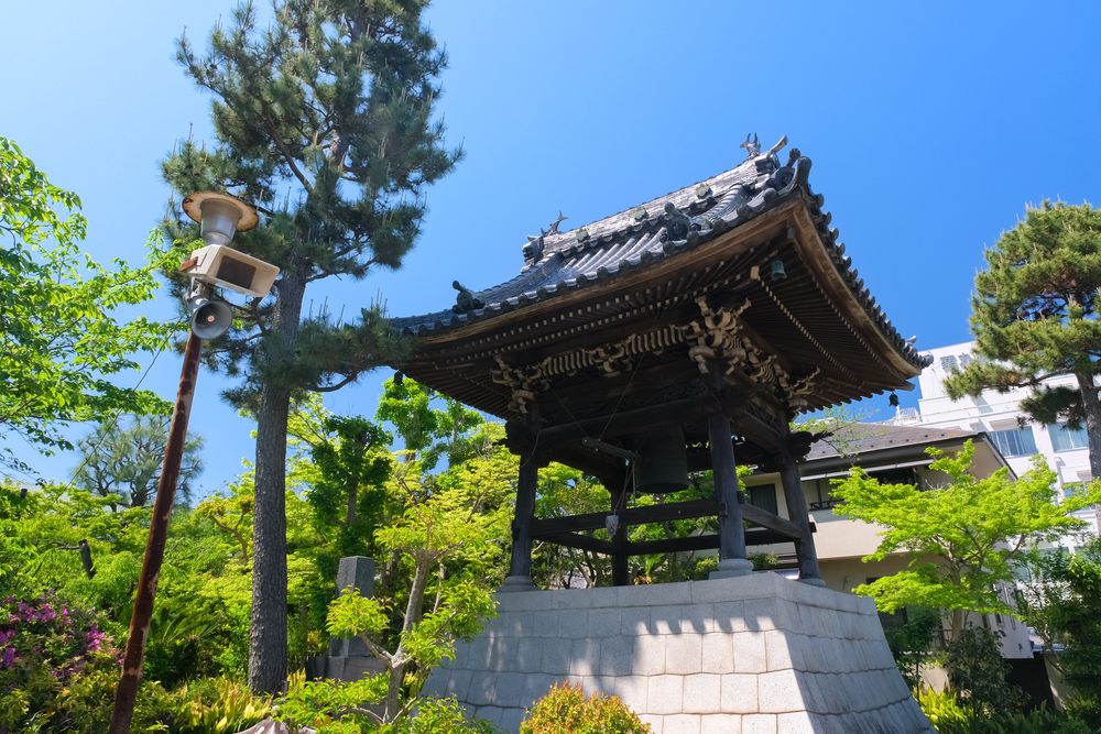 證誠寺の画像 - 5枚目