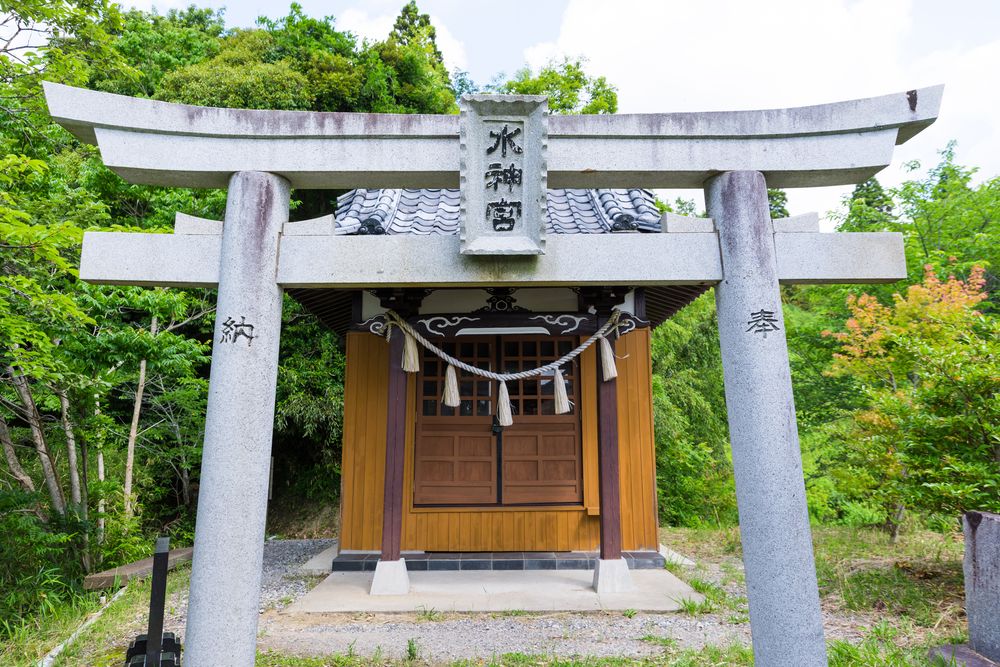 雄蛇ヶ池の画像 - 4枚目