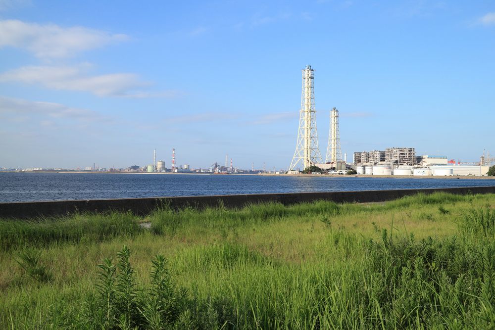 養老川臨海公園の画像 - 3枚目