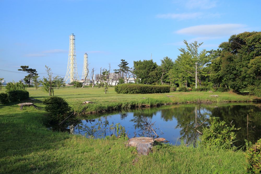 養老川臨海公園の画像 - 4枚目