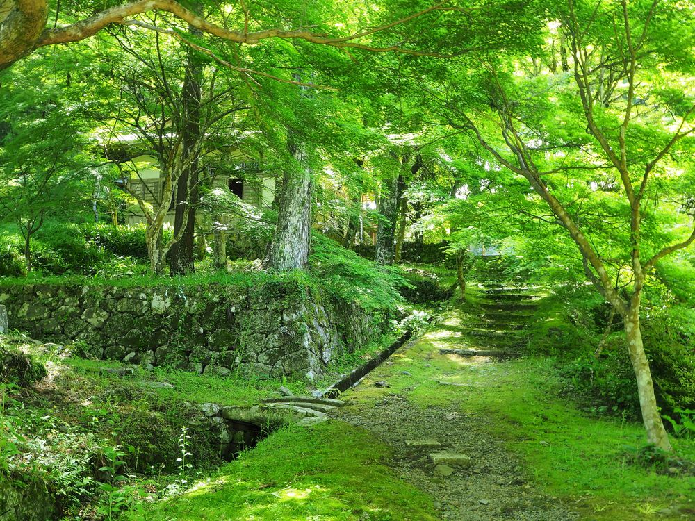 大洞院の画像 - 3枚目