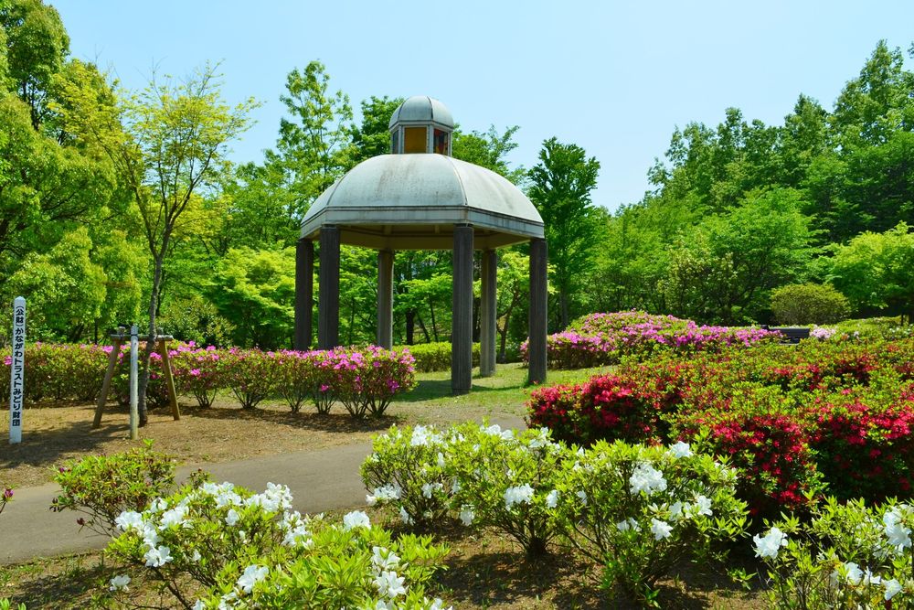 あつぎつつじの丘公園の画像 - 2枚目