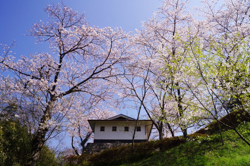 塚山公園の画像 - 3枚目